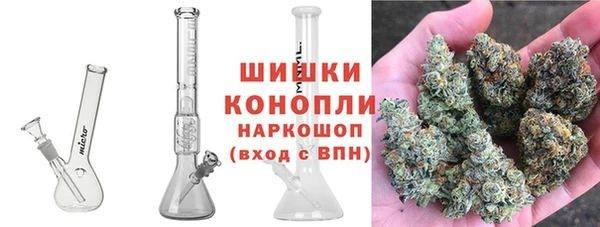 хмурый Арсеньев