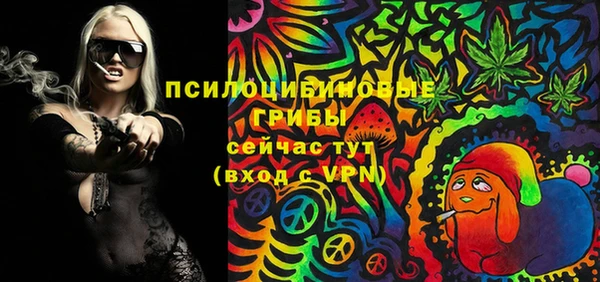 хмурый Арсеньев