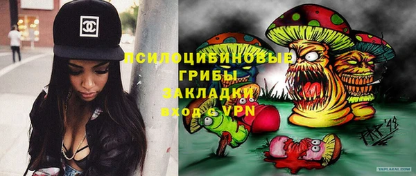 хмурый Арсеньев