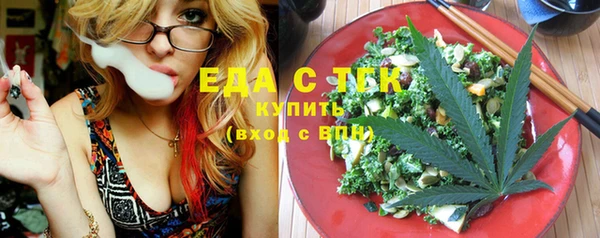 хмурый Арсеньев
