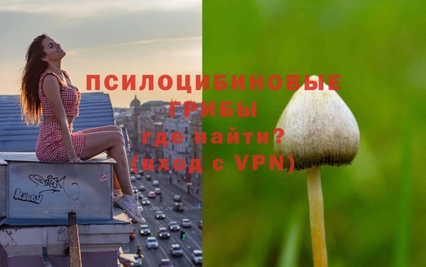хмурый Арсеньев