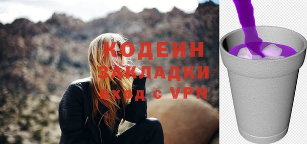 хмурый Арсеньев